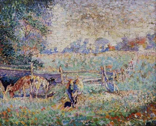 Kühe auf der Weide